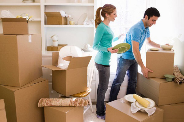 How to Choose the Mover & Packers for your Move?